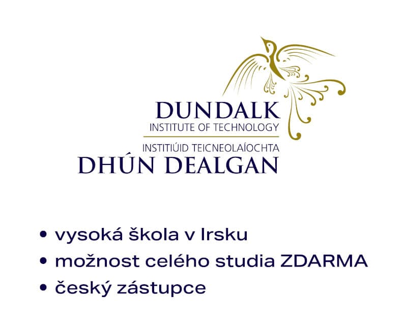 logo Dundalk